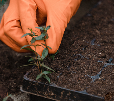 A Foolproof Guide for Picking Great Produce—Every Time​